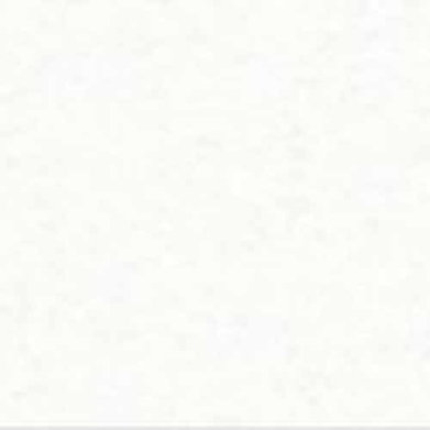 Canson Pure White Drawing Board Ex-Fine Texture 16x20