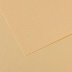 cn100511242