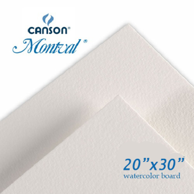 Canson Montval watercolor boards; white textured sheets, 20x30 inches.