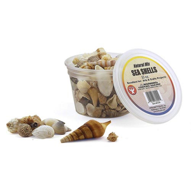 Hygloss Sea Shells 16oz - Natural