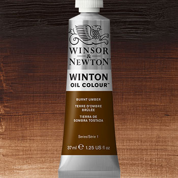 Winsor & Newton Winton Oil Colour Paint - (6.75oz/200ml) Burnt Umber