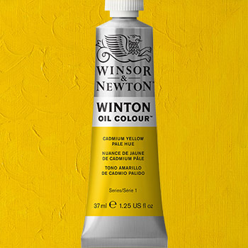 Winsor & Newton Winton Oil Colour Paint - (6.75oz/200ml) Cadmium Yellow Pale Hue