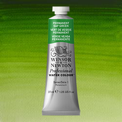 Winsor & Newton Professional Water Colour  (1.25oz/37ml) Permanent Sap Green