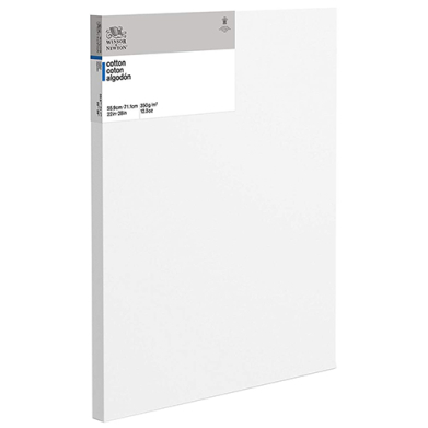 Winsor & Newton Deep Edge Box Canvas 22" x 28"
