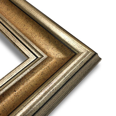 Series 4 Pale Gold Frame 12" x 16"