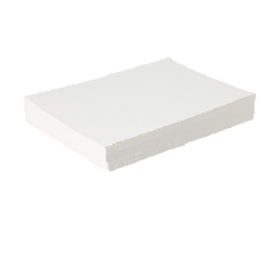 Canson Foundation 9x12  90lbs Cold Press Watercolor Paper Sheets  (500 shts) CN100511158