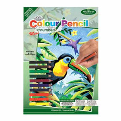 Colored Pencil By Number Mini Art Kit- Tropical Birds