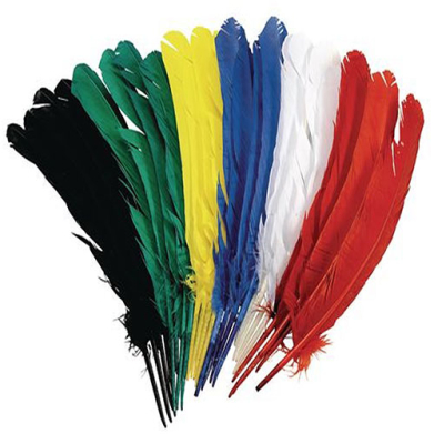 Large Craft Quill Feathers - (24 Pieces) Assortment