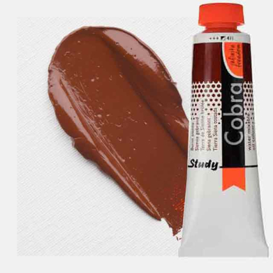 Royal Talens Cobra Study Water Mixable Oil Paint 40ml Burnt Sienna 411 - RT25054110