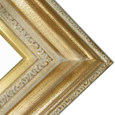 Series 446 Champagne Gold Gallery Deluxe Frame    FRMTP-446G-9X12