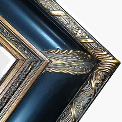 Series 9206 Black Gold Ornate Frame  FRMTP-9206BG-20x24