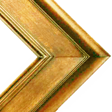 Series 20G - Gold Plein Air Frame IN STORE PICK ONLY    FRMTP-20G-24x30