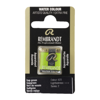 Rembrandt Professional Watercolor Half Pan - 623  Sap Green
