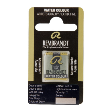 Rembrandt Professional Watercolor Half Pan -748 Davy's Grey