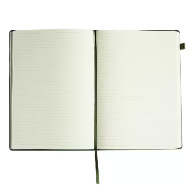 Open notebook with blank, lined pages and a green ribbon bookmark laid flat across the center railings of the pages.