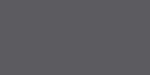 p 29931 TMN55